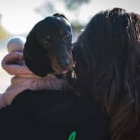Amber S.'s profile image