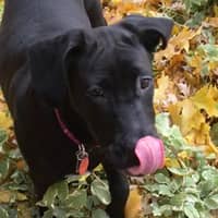 Heather J.'s profile image