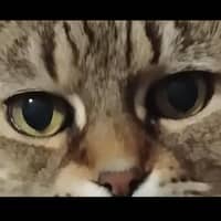 Tonja S.'s profile image