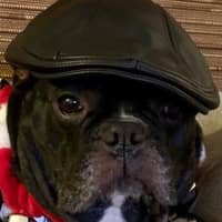 Cheryl W.'s profile image