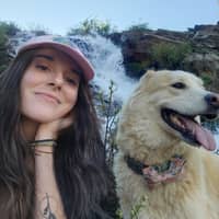 Taylor B.'s profile image