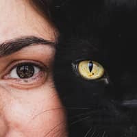 Diane S.'s profile image