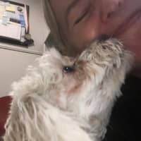 Laura A.'s profile image
