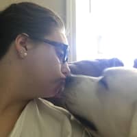 Alexis C.'s profile image