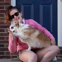 Elisa F.'s profile image