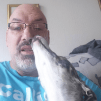 Jim P.'s profile image