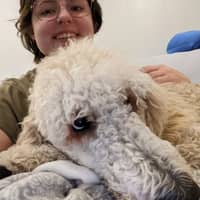 Kathryn S.'s profile image
