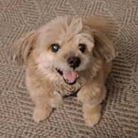 Wendy B.'s profile image