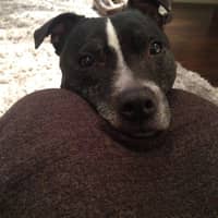 Julie B.'s profile image