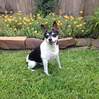 Sandy C.'s profile image