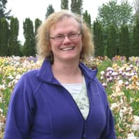 Lisa D.'s profile image