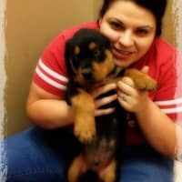 Vanessa J.'s profile image