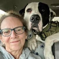 Pam P.'s profile image