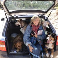 Lucy C.'s profile image