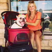 Rachel P.'s profile image