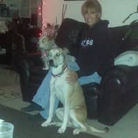 Charlene M.'s profile image