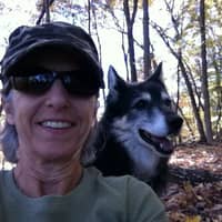 Judy S.'s profile image