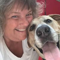 PAULA P.'s profile image