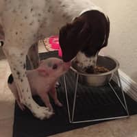 Kathy J.'s profile image