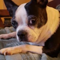 Danielle A.'s profile image