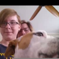 Anne E.'s profile image