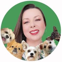 Ines M.'s profile image