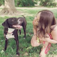 Liz C.'s profile image