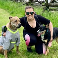 Stefania P.'s profile image