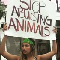 Deyanira P.'s profile image