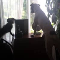 Jessie C.'s profile image
