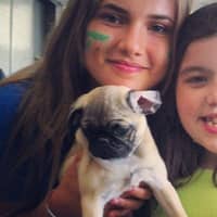 Isabella G.'s profile image