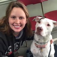 Sam M.'s profile image