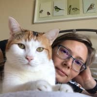 Dawn H.'s profile image