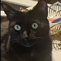 Karen G.'s profile image