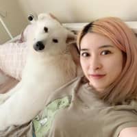 Qingyi L.'s profile image