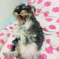 Naomi H.'s profile image