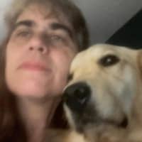 Amy C.'s profile image