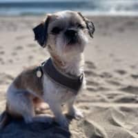 Laura B.'s profile image
