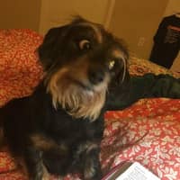 Donna E.'s profile image