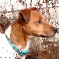 Steve K.'s profile image