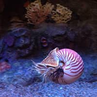 Debra L.'s profile image