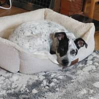 Crystal M.'s profile image