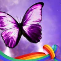 Diana J.'s profile image
