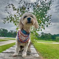 Karen P.'s profile image