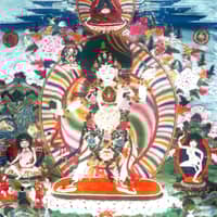 Jitka D.'s profile image