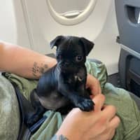Colin S.'s profile image