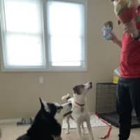 Tracy B.'s profile image