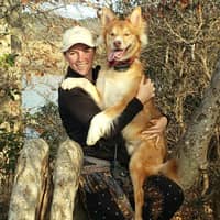 House sitting best sale rover