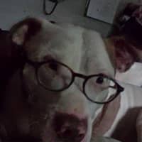 Perry H.'s profile image