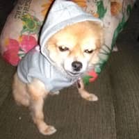 Lorina I.'s profile image
